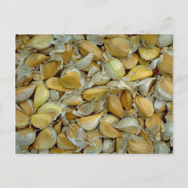 Unik vitlök vykort (Framsida)