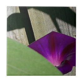 Unika blom- dekorativa belägger med tegel kakelplatta