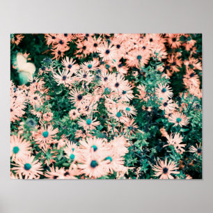 Unika färger på vilda blommor poster