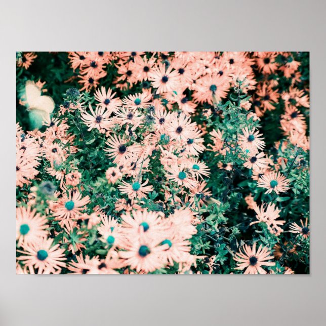 Unika färger på vilda blommor poster (Framsidan)
