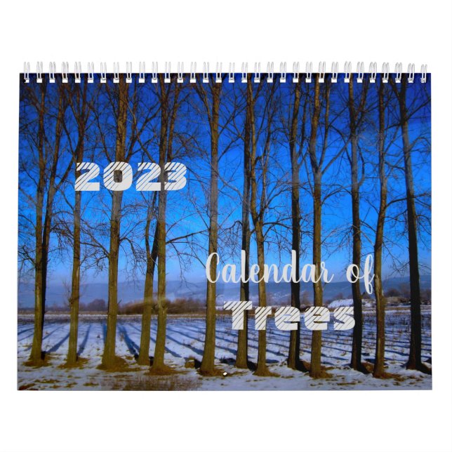 Unika foton från Träd i 2023 års kalender (Omslag)