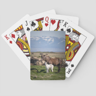 Unika häftklöver casinokort