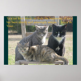 Unika katter poster