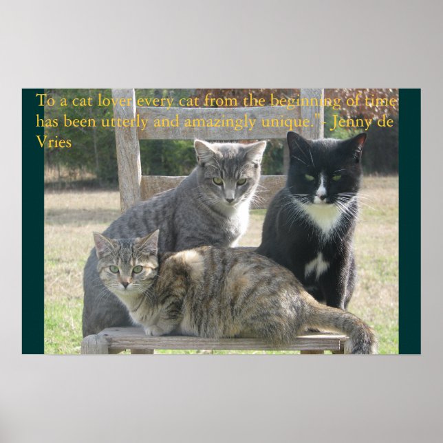 Unika katter poster (Framsidan)