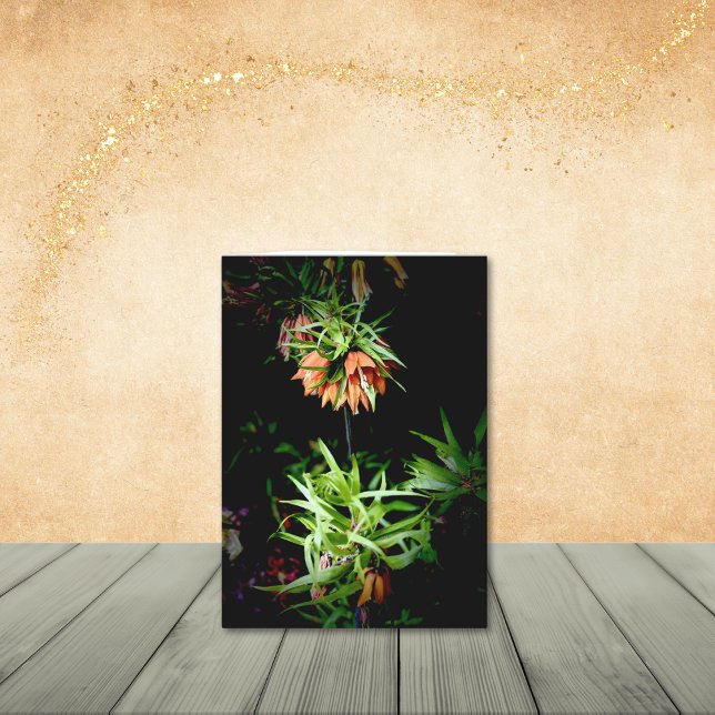 Unika Krona Imperial Stil Flower Note-kort Tack Kort (5x7 note cards, blank on the inside. Other sizes are available.)