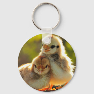 Unika nyckelringar och snyggtar