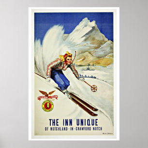Unika semesterorter skidar vintage resor poster