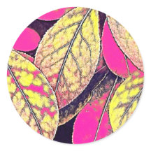 Unikt filtrerat foto