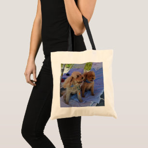 Unikt foto för familjen Cute Pets Cockapoo Hundar  Tygkasse