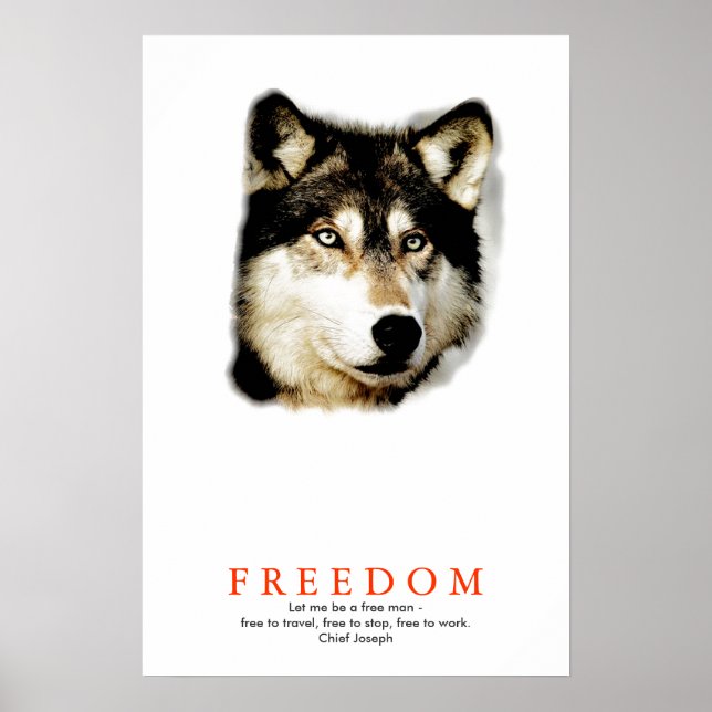 Unikt Frihetsmotiverande Vargaffisch Poster (Framsidan)