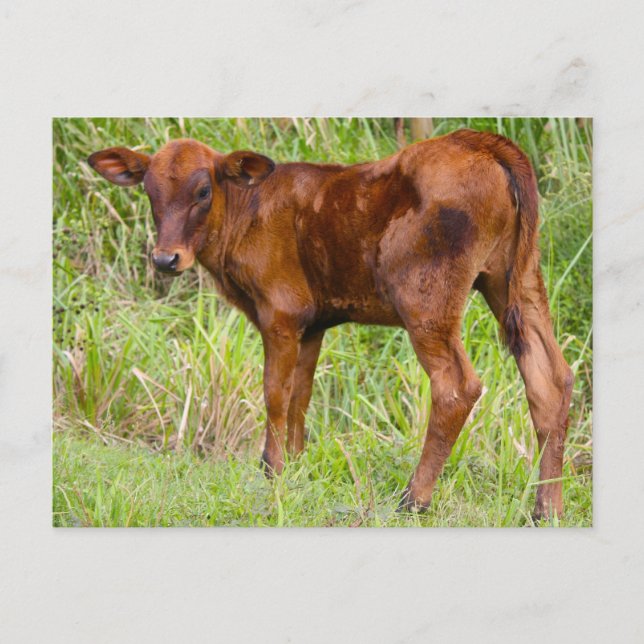 Union Vale Vykort (Framsida)