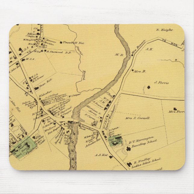 Unionport, Westchester, Schuylerville Musmatta (Framsidan)