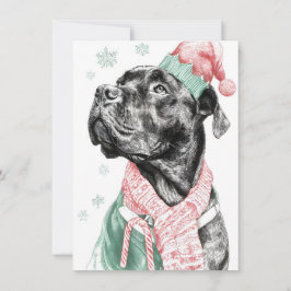Unique Dog Christmas Cards Julkort