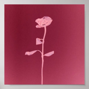 UNIQUE RO POSTER