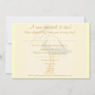 Unisex Baby Shower-inbjudan - pojke eller flicka Inbjudningar