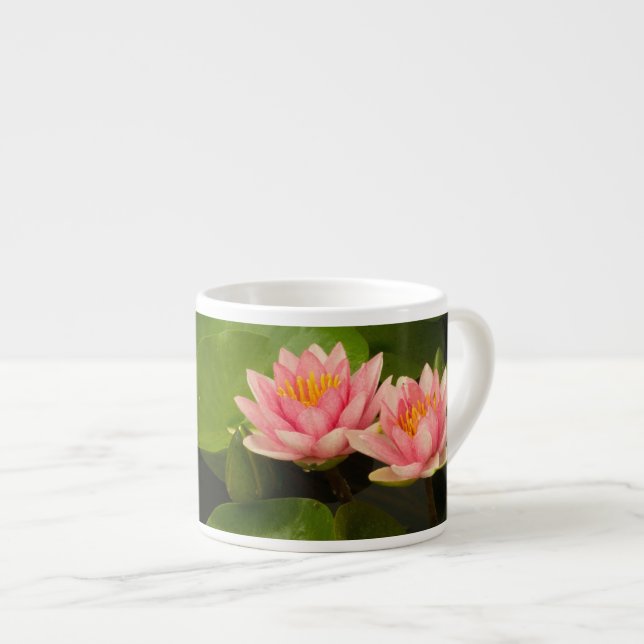 United Stater, DC, Washington, Kenilworth 4 Espressomugg (Framsida höger)