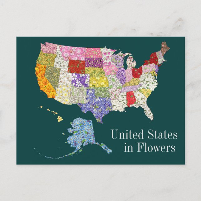 United Stater in Flowers -Alt Back Design Postcard Vykort (Framsida)