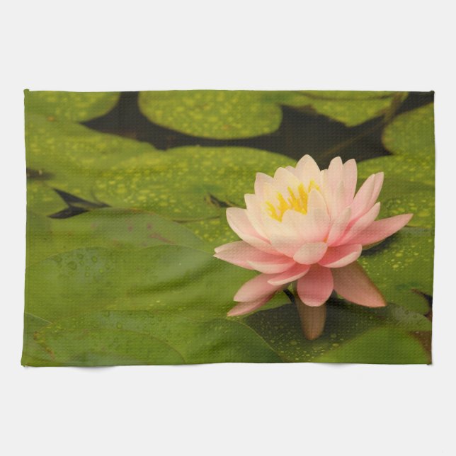 United Stater, Maryland, Westminster, Union 2 Kökshandduk (Horisontell)