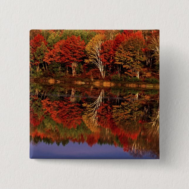 United Stater, Michigan, Upper Peninsula.Fall Knapp (Framsida)