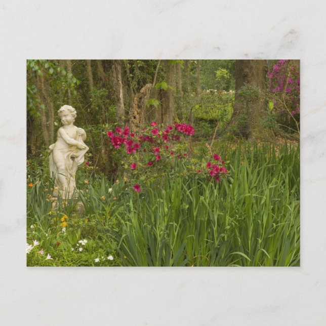 United Stater; South Carolina; Charleston; 4 Vykort (Framsida)