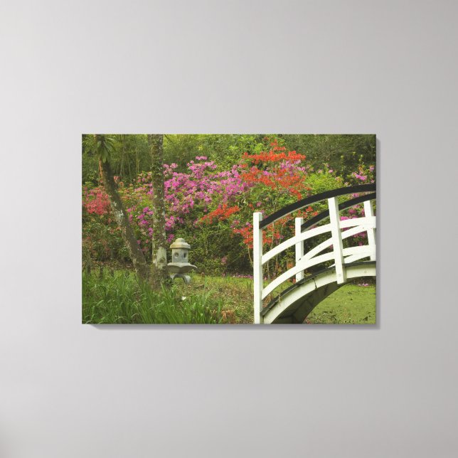 United Stater; South Carolina; Charleston; 5 Canvastryck (Framsida)