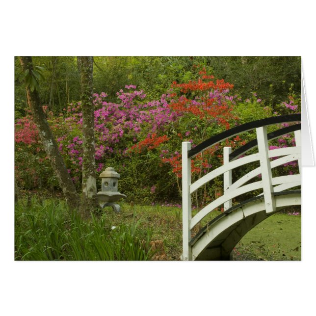 United Stater; South Carolina; Charleston; 5 Hälsningskort (Framsidan Horizontal)