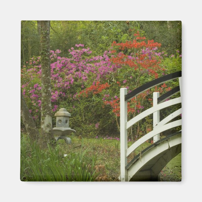 United Stater; South Carolina; Charleston; 5 Magnet (Framsidan)