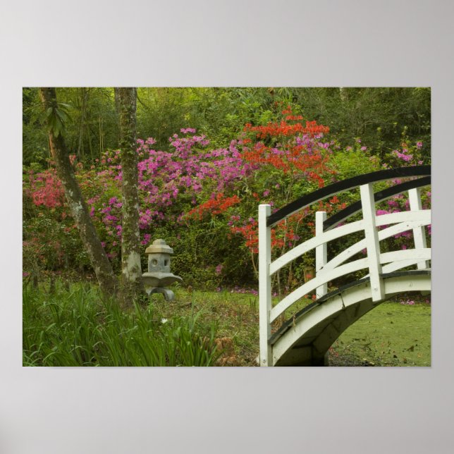 United Stater; South Carolina; Charleston; 5 Poster (Framsidan)