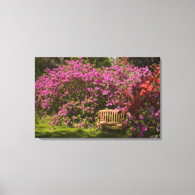 United Stater; South Carolina; Charleston; Canvastryck (Framsida)