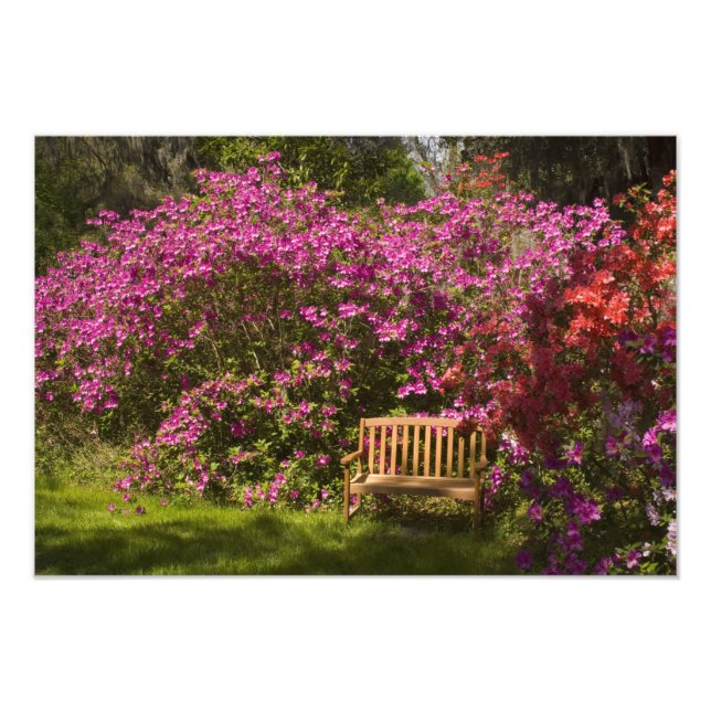 United Stater; South Carolina; Charleston; Fototryck (Framsidan)