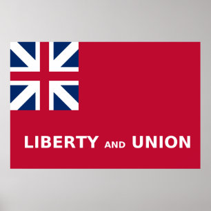 United Stater Taunton Flagga Liberty and Union 177 Poster