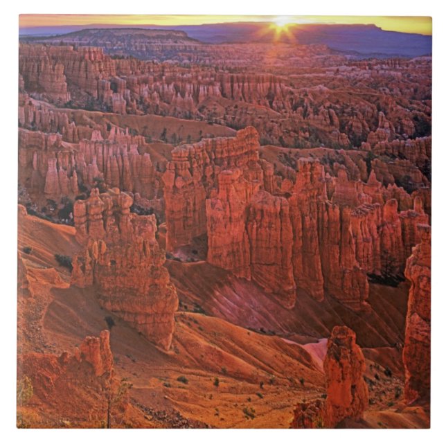 United Stater, Utah, Bryce Canyon National Park. Kakelplatta (Framsidan)