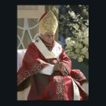 United Stater, Washington, D.C. Pope Benedict Poster<br><div class="desc">United Stater,  Washington,  DC Pope Benedict XVI firar Mass i Nationals Park den 17 april 2008 � Dennis Brack / DanitaDelimont.com</div>