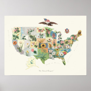 United States blommar kartan - vår Poster