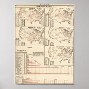 United States denominational statistik Poster