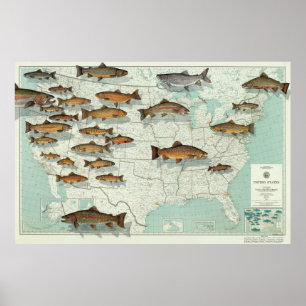 United States forellkarta (1999) Poster