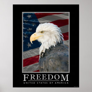 United States frihetsaffisch Poster