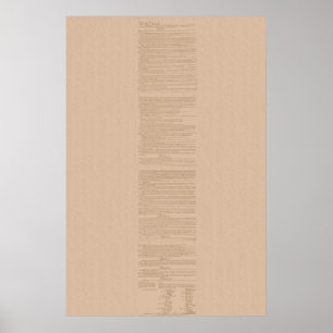 United States konstitution Poster