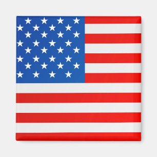 United States medborgareflagga Magnet