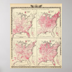 United States vitalitetkartor Poster