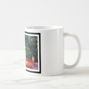 Universiteten av den South Carolina muggen Kaffemugg