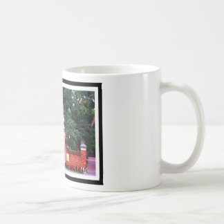 Universiteten av den South Carolina muggen Kaffemugg