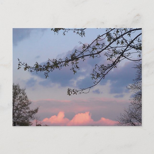 Universiteten City Goodwill Vykort (Framsida)