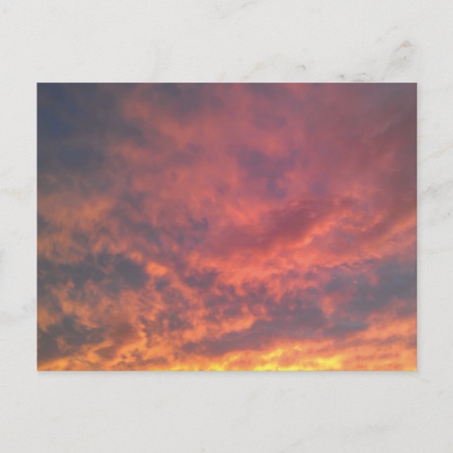 Universiteten City Vykort (Framsida)