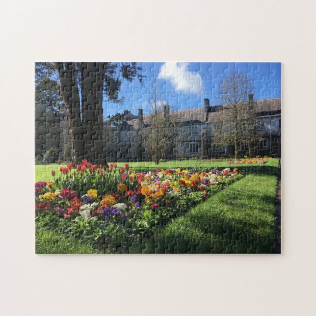 Universiteten College Kork Ireland Puzzle Pussel (Horisontell)