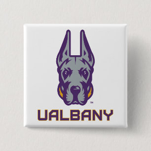 Universiteten i Albany Great dane Knapp
