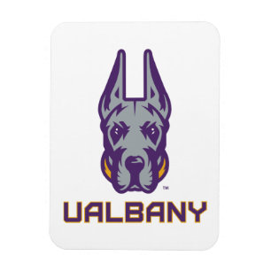 Universiteten i Albany Great dane Magnet