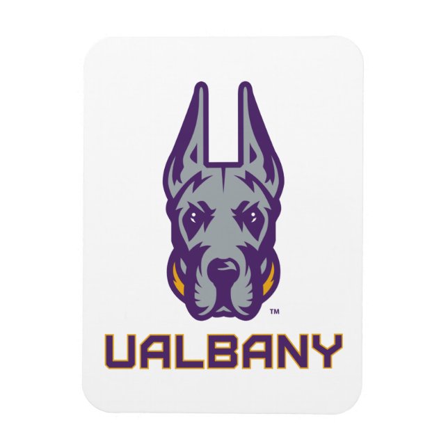 Universiteten i Albany Great dane Magnet (Vertikal)