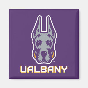 Universiteten i Albany Great dane Magnet