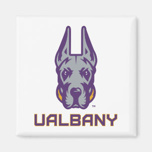 Universiteten i Albany Great dane Magnet